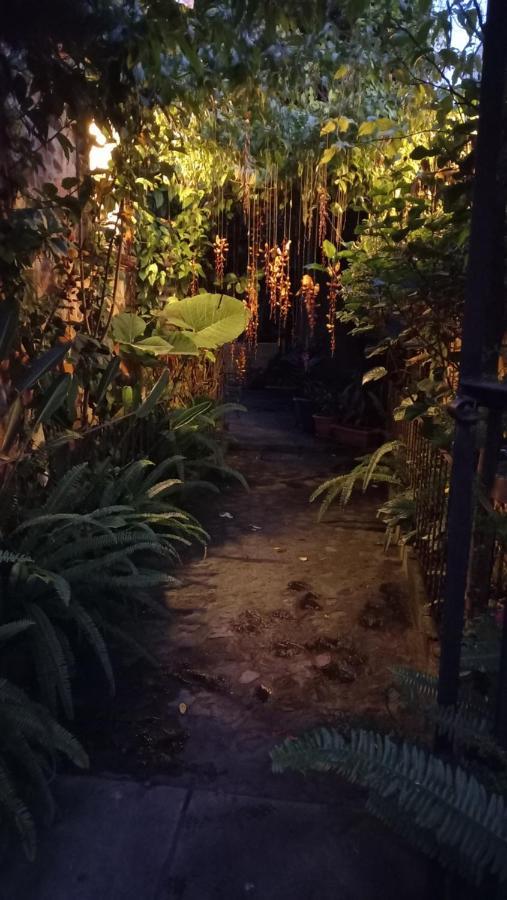 Casa Quetzalli, La Recoleccion Antigua Exteriér fotografie