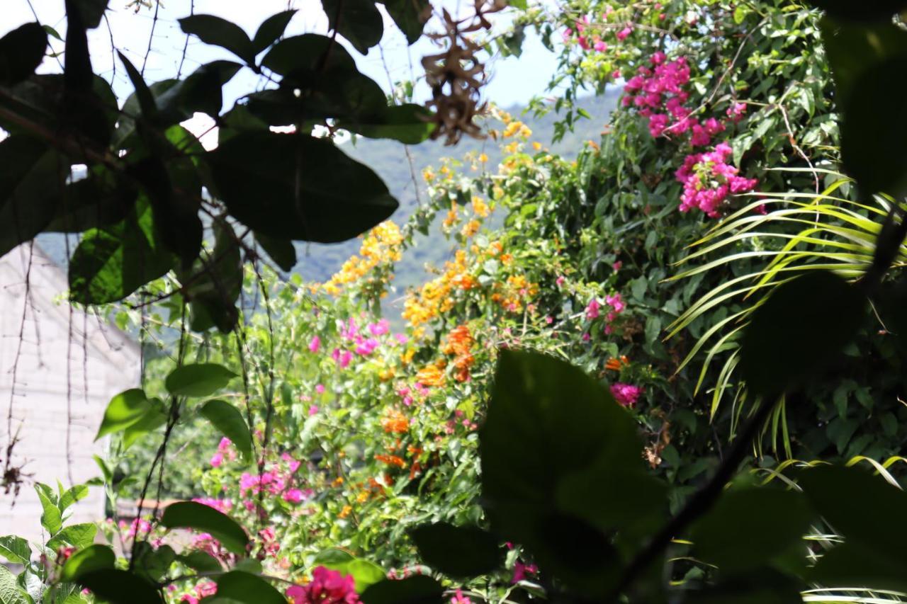 Casa Quetzalli, La Recoleccion Antigua Exteriér fotografie